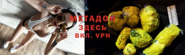 прущие грибы Богородицк