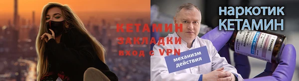 прущие грибы Богородицк