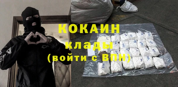 прущие грибы Богородицк