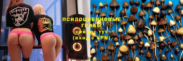прущий лед Богородск