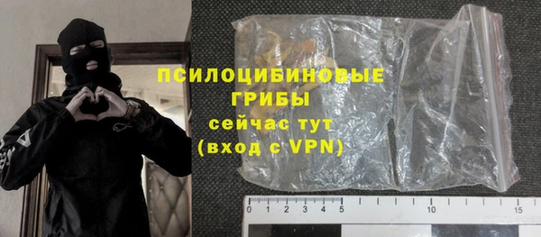 прущие грибы Богородицк