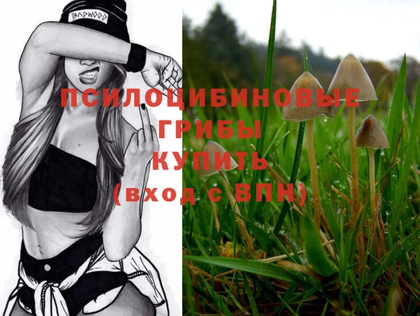 МДПВ Богданович