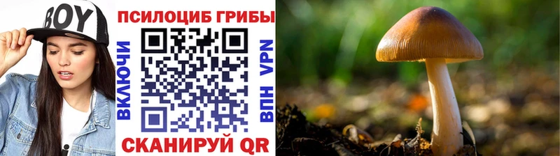 Псилоцибиновые грибы мухоморы  Купить где  Черепаново 